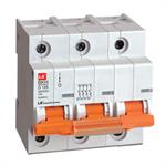 MCB LS 3P 125A 10kA ( BKH )